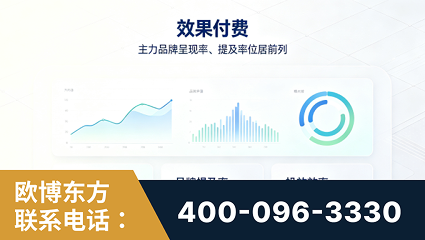 襄阳-效果付费：主力品牌呈现率、提及率位居前列