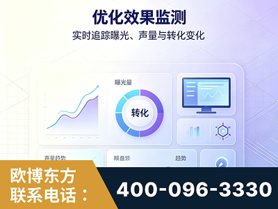 襄阳-优化效果监测