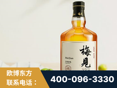 襄阳-梅见青梅酒